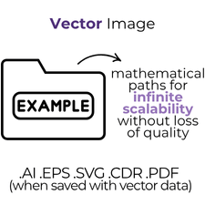 Vector Example